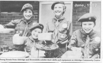 Scouts in 1982